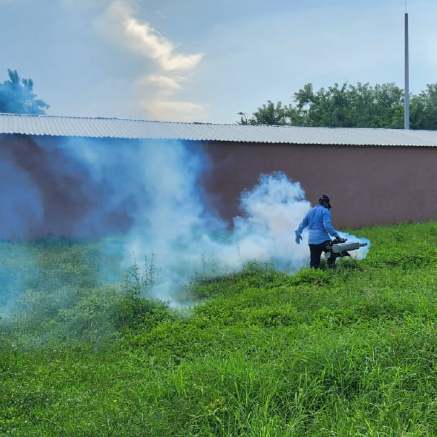 Control de Hormigas, cucarachas y moscas,